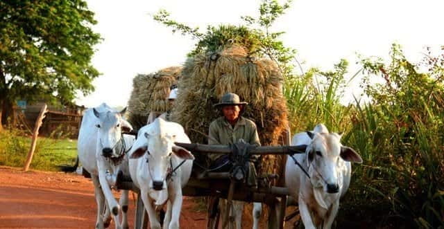 Siem Reap: 3-Hour Ancient Trails Motorbike Tour - Why this three-hour ride is different from a standard Siem Reap tour