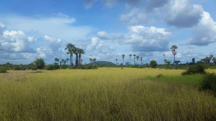 Siem Reap: 3-Hour Ancient Trails Motorbike Tour - Meeting a monk at the pagoda