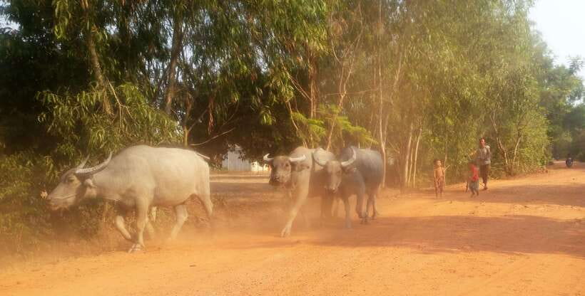 Siem Reap: 3-Hour Ancient Trails Motorbike Tour - What the ride feels like in hot, dusty conditions