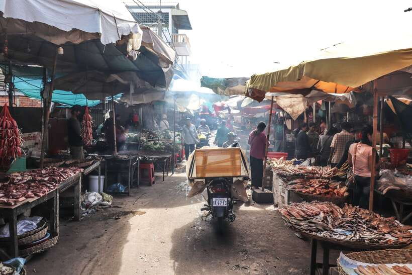 Siem Reap: 3-Hour Behind-the-Scenes Tuk-Tuk Tour - Theam’s House, art in a wistful garden