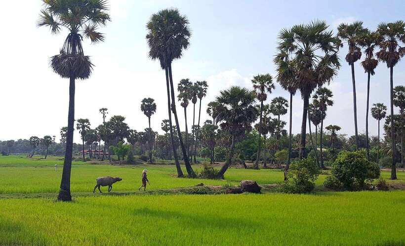 Siem Reap: 6-Hour Easy Rider Motorbike Tour - Key points at a glance