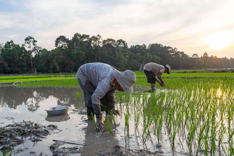 Siem Reap: Afternoon Cooking Class & Village Tour - Who will enjoy this most?