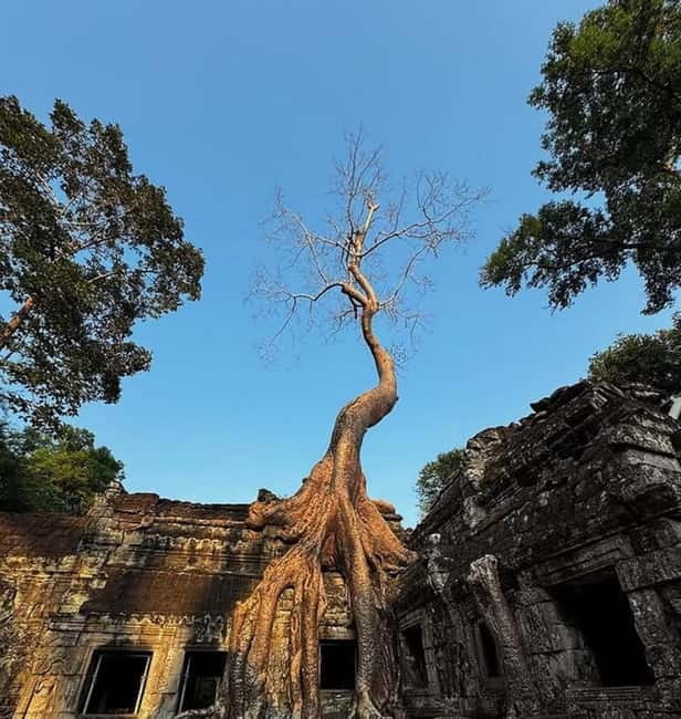 Siem Reap: Angkor 1-Day Private Tour with Sunset or Sunrise - Why a private guide matters at Angkor