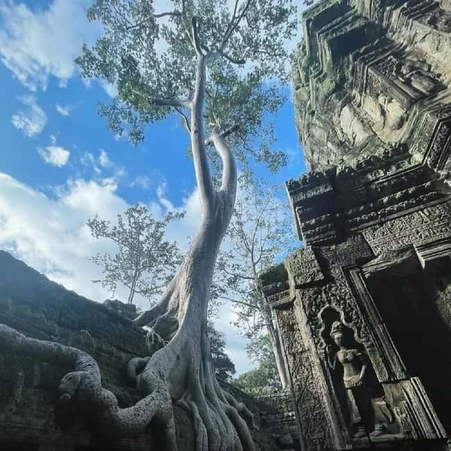 Siem Reap: Angkor 1-Day Private Tour with Sunset or Sunrise - Transport, comfort, and group size