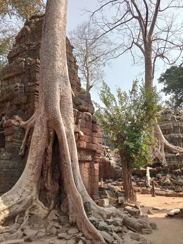 Siem Reap: Angkor Full-Day Group Tour with Japanese Guide - Why a Japanese guide can change your Angkor visit