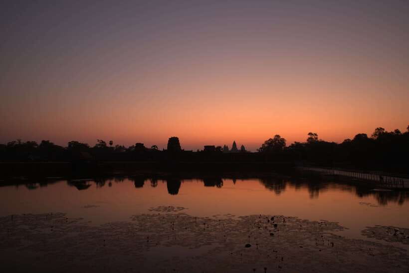 Siem Reap: Angkor Sunrise 1- or 2-Day Guided Temples Tour - Ta Prohm delivers the jungle temple moment