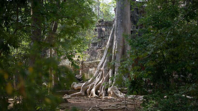 Siem Reap: Angkor Temples Off-Track Bicycle Tour - Key points to know before booking