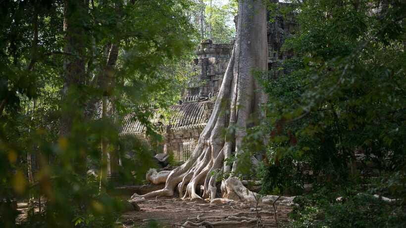Siem Reap: Angkor Temples Off-Track Bicycle Tour - Ta Nei, the quietest stop of the day