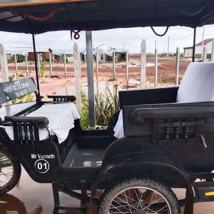 Siem Reap: Angkor Temples Tour by a Private Tuk Tuk - Ta Prohm and the tree roots