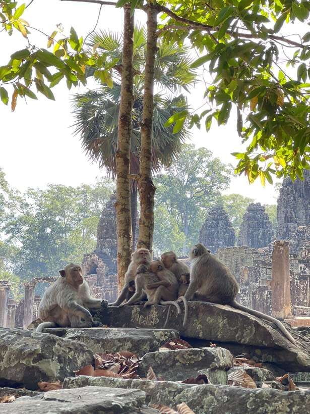 Siem Reap: Angkor Wat Private full Day Tour - Heat, walking, and what to bring