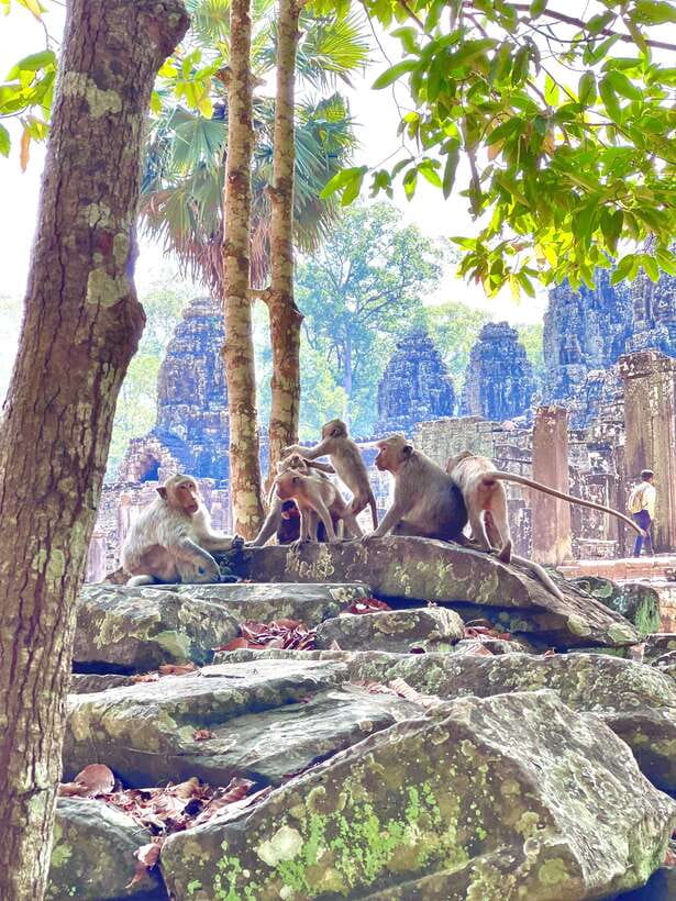 Siem Reap: Angkor Wat Private full Day Tour - The Terrace of the Elephants