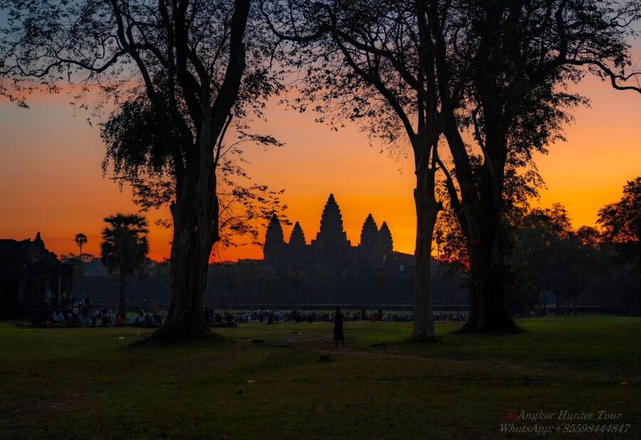 Siem Reap: Angkor Wat: Small-Group Sunrise Tour - Ta Prohm is the atmospheric stop
