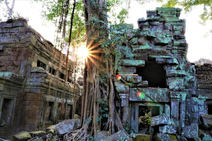 Siem Reap: Angkor Wat Sunrise and Best Temples Tour - Ta Prohm is the atmospheric favorite