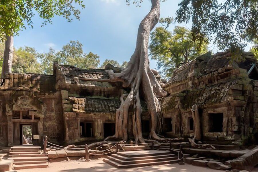 Siem Reap: Angkor Wat Sunrise and Full-Day Sightseeing Tour - What the guides add to the day