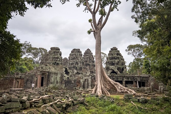 Siem Reap: Angkor Wat Sunrise Bike Tour & Jungle Breakfast - Why the bicycle changes your Angkor day