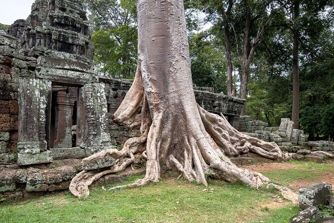 Siem Reap: Angkor Wat Sunrise Bike Tour & Jungle Breakfast - The guide and small-group advantage
