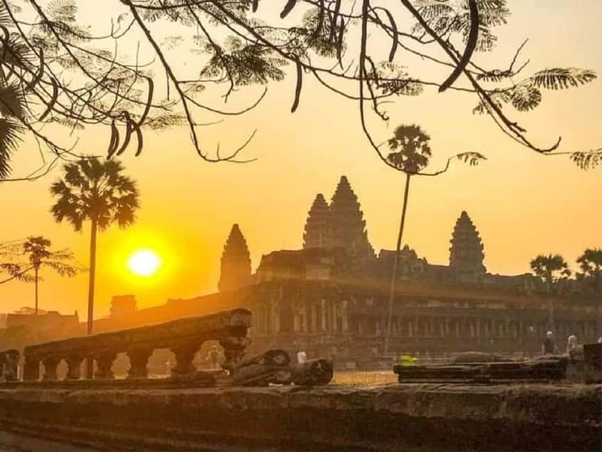 Siem Reap: Angkor Wat Sunrise Tour with Spanish Guide - Ta Prohm and the appeal of ruins reclaimed by trees