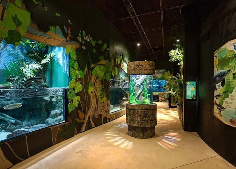 Siem Reap: Angkor Wildlife & Aquarium Entrance Ticket - Why the aquarium deserves most of your time