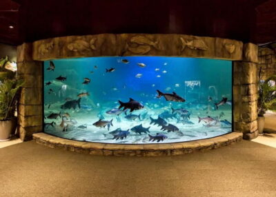 Angkor Wildlife & Aquarium Entrance Ticket