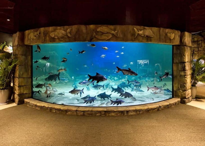 Siem Reap: Angkor Wildlife & Aquarium Entrance Ticket - The morning schedule from Siem Reap