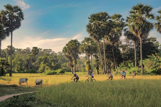 Siem Reap Countryside Guided Tour by Bike and E-Bike Private Tour - Key points before you book