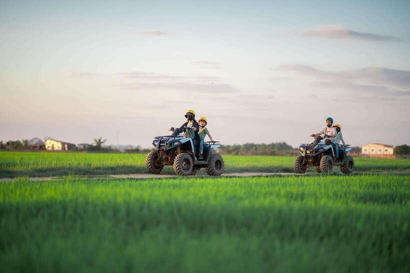 Siem Reap: Countryside Khmer village Tour by Quad Bike & ATV - Rice fields, thatched homes, and working farms