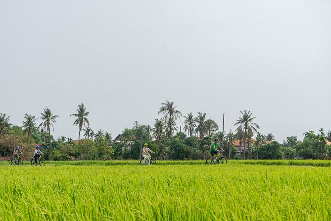 Siem Reap Countryside Sunset Bike Tour / E-Bike or Tuk Tuk - Key points to know before booking