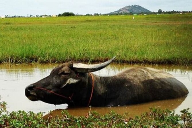 Siem Reap Countryside Sunset Jeep Tour - Half-day - A private outing that works well for couples and small groups