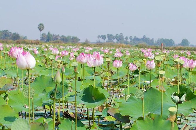 Siem Reap Countryside Sunset Jeep Tour - Half-day - Is $50 a fair price for three to four hours?