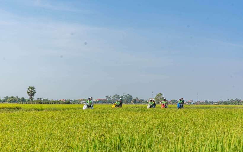 Siem Reap Countryside Sunset Vespa Tour or Tuk Tuk - Sra Sor, Cambodia’s traditional rice wine