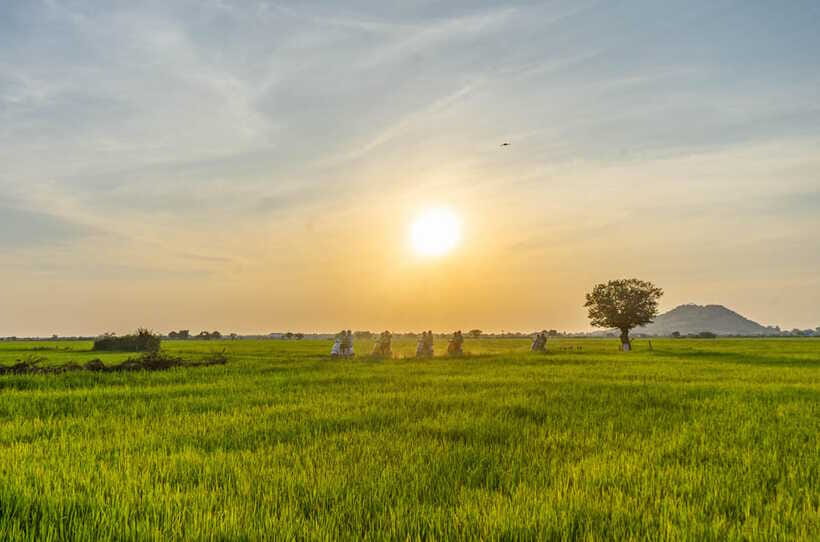 Siem Reap Countryside Sunset Vespa Tour or Tuk Tuk - What the $24 price really includes