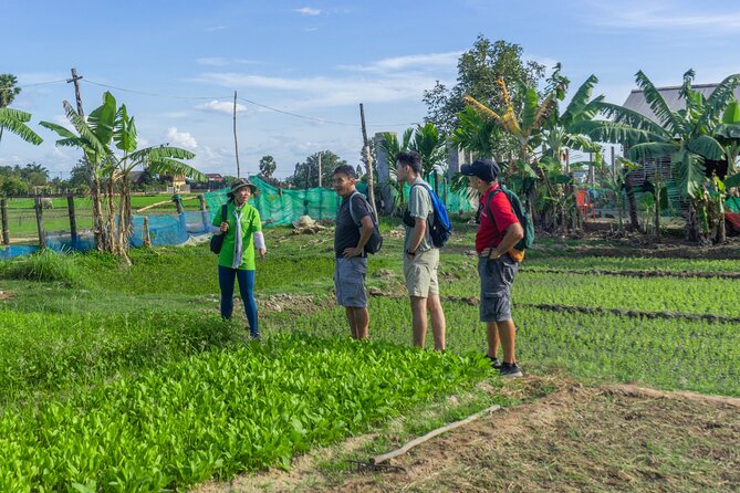 Siem Reap Countryside Sunset Vespa Tour / Tuk Tuk Available - What the guide and driver add