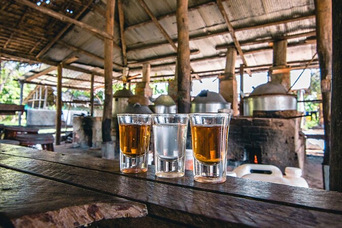 Siem Reap Countryside Sunset Vespa Tour / Tuk Tuk Available - What the $30 price delivers
