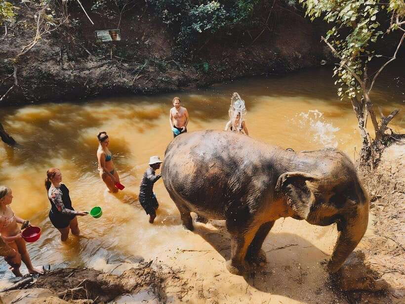 Siem Reap: Elephant Sanctuary Included Hotel Pickup Drop-off - Who will enjoy this sanctuary visit most?