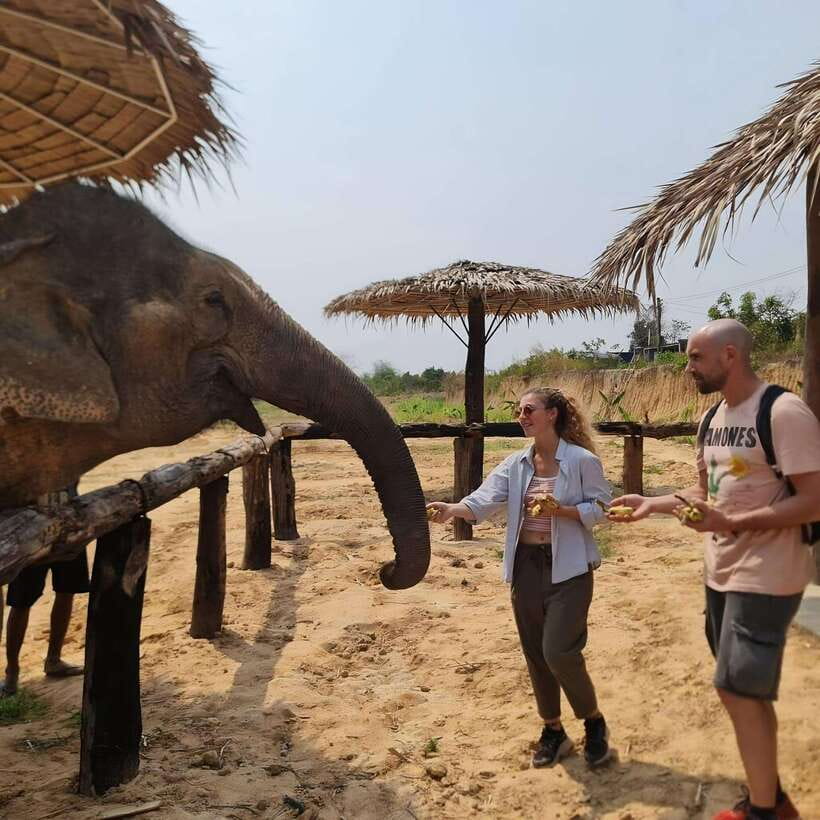 Siem Reap: Elephant Sanctuary Included Hotel Pickup Drop-off - Getting from Siem Reap to the elephant sanctuary