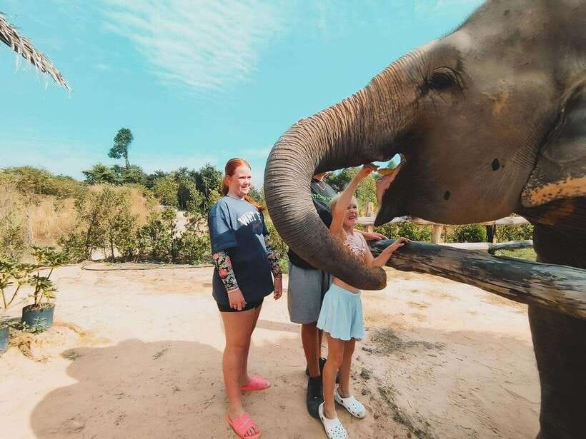 Siem Reap: Elephant Sanctuary Included Hotel Pickup Drop-off - Preparing nutritious food for the elephants