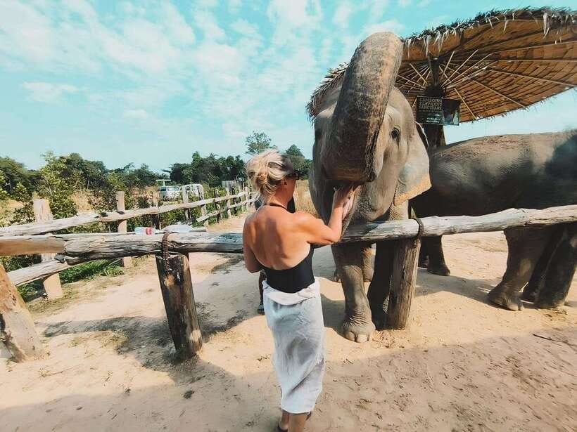 Siem Reap: Elephant Sanctuary Included Hotel Pickup Drop-off - A quiet break with fruit, water, and coffee