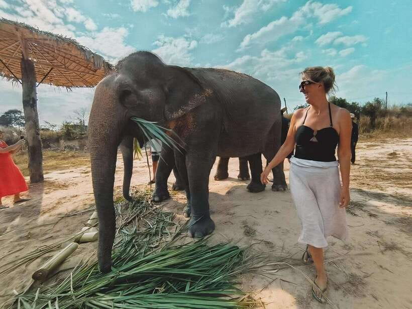 Siem Reap: Elephant Sanctuary Included Hotel Pickup Drop-off - What to bring for a muddy, wet afternoon