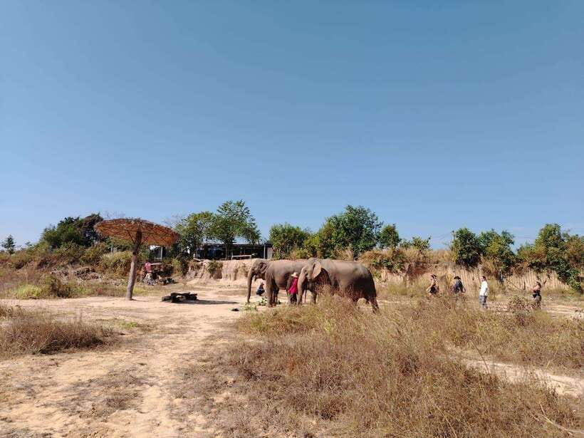 Siem Reap: Elephants & Apopo Rat Demining Private Trip - Two meaningful stops beyond the temples