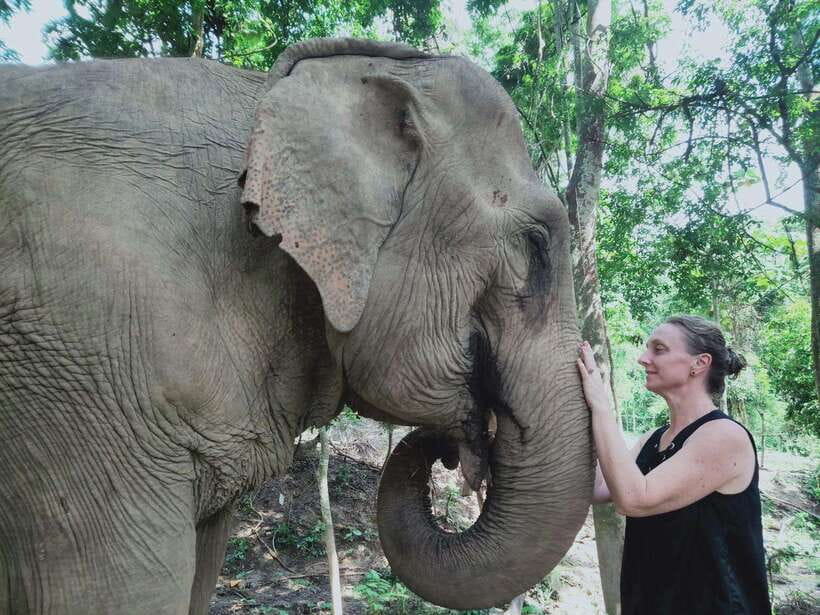 Siem Reap: Elephants & Apopo Rat Demining Private Trip - Feeding elephants at the sanctuary