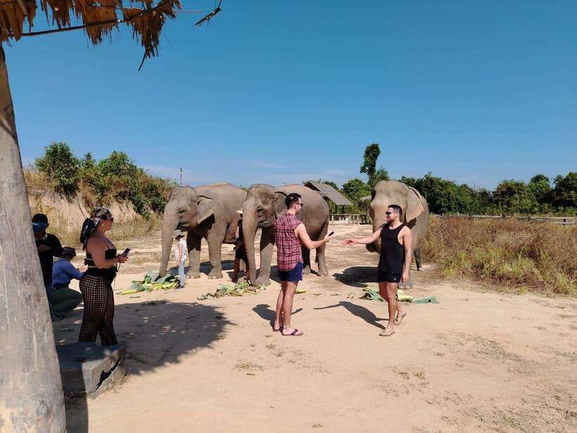 Siem Reap: Elephants & Apopo Rat Demining Private Trip - Why the elephant ticket changes the value