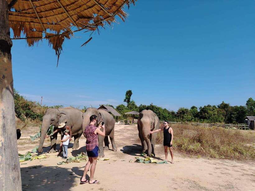 Siem Reap: Elephants & Apopo Rat Demining Private Trip - Choosing the morning or afternoon order