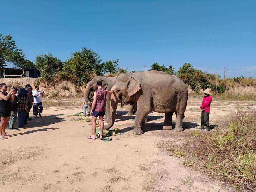 Siem Reap: Elephants & Apopo Rat Demining Private Trip - Small group benefits and limits