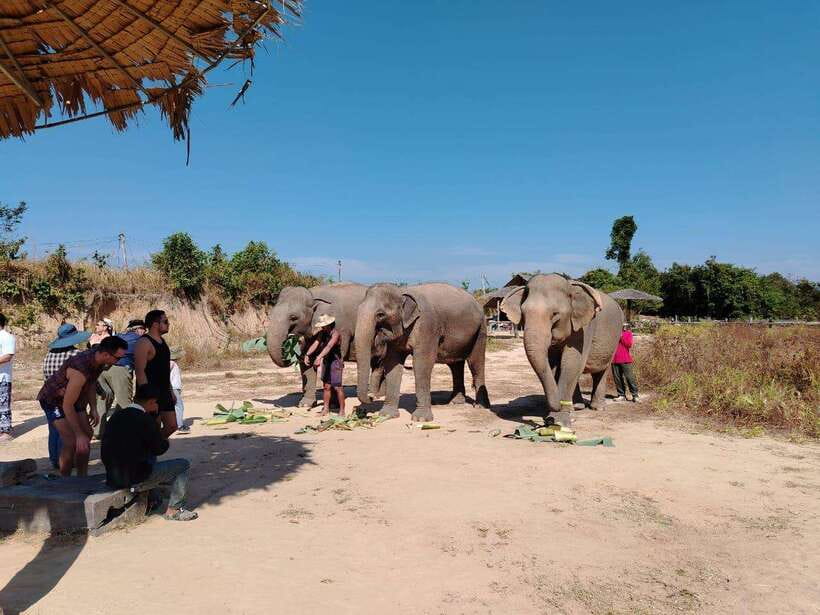 Siem Reap: Elephants & Apopo Rat Demining Private Trip - What to pack and plan