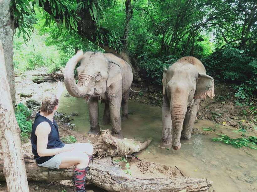 Siem Reap: Elephants & Apopo Rat Demining Private Trip - The 40-minute ride from Siem Reap