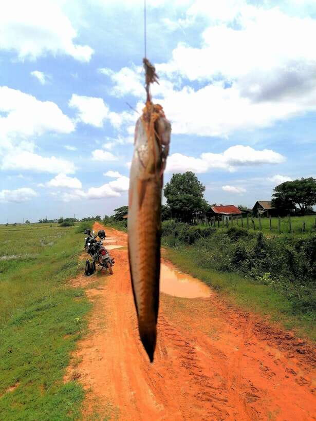 Siem Reap: Fishing in the rice fields, in the villages of Siem Reap - Eating what you catch in the countryside
