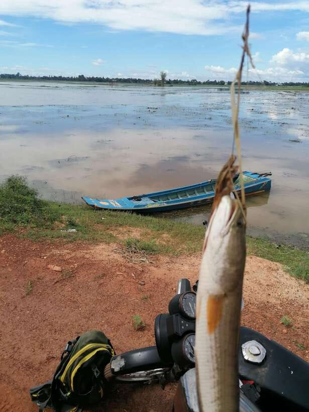 Siem Reap: Fishing in the rice fields, in the villages of Siem Reap - Practical preparation for the rice fields
