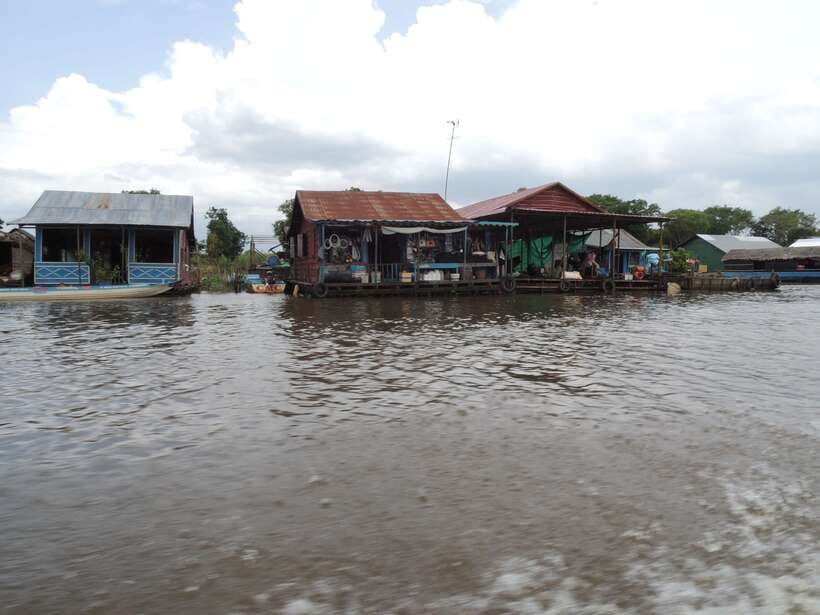 Siem Reap: Floating Village Half-Day Tour - A quick stop among lotus flowers