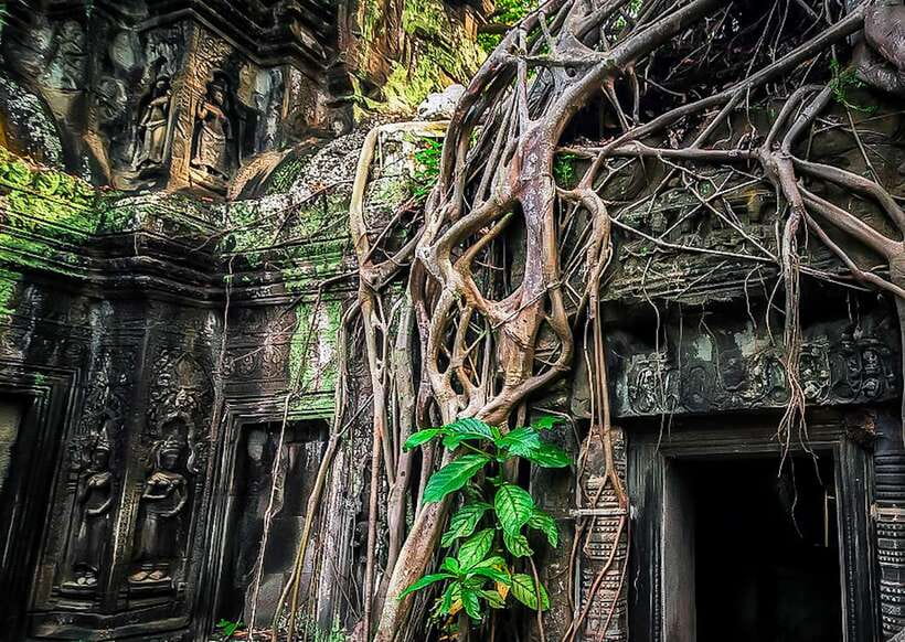 Siem Reap: Full-Day Angkor Wat Guided Tour with Sunset - Lunch and a needed break