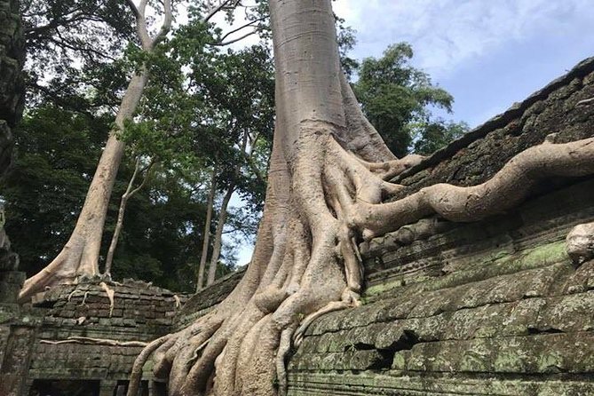 Siem Reap Full Day Angkor Wat Tour Small Group - The practical rhythm of an eight-hour temple day